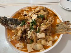 红烧狗鱼-煲来饱去冷水鱼