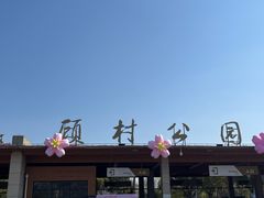 -自然谷恐龙园
