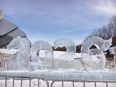 -沈阳奥体冰雪嘉年华