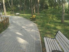 -玲珑塔公园