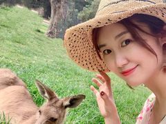 -可伦宾野生动物保护区