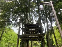 -青城山