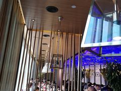 -老板恋上鱼(恒隆广场店)