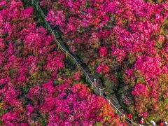 -木兰云雾山