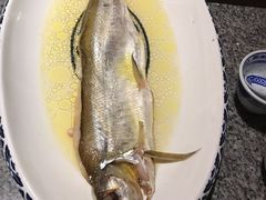 鸡汁白鱼-南京大牌档(济南万象城店)