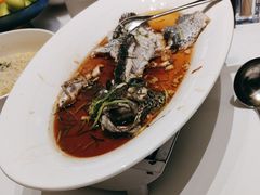 -同庆楼(奥体中心店)