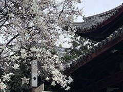 -龙华寺