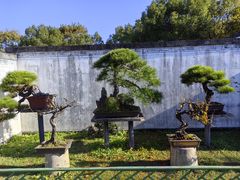 -棠樾牌坊群鲍家花园景区
