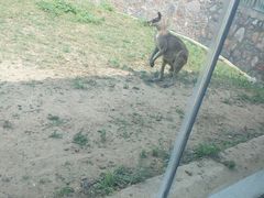 -宿豫区运河湾森林动物园