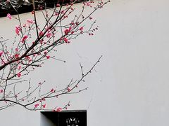 -上海醉白池公园