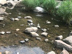 -碓臼峪自然风景区