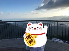 -亚龙湾热带天堂森林公园