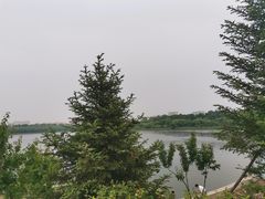 -南湖大桥