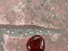 -汪喵宠物医院·骨科心脏影像·犬猫急重症ICU诊疗中心(成华分院)