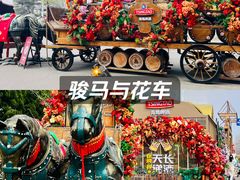 -青岛海滨风景区