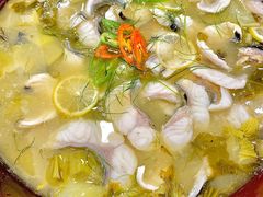 柠檬酸菜鱼-海宝酒家(中山四路店)