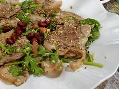 -东鸽皇(奥园·中环广场店)