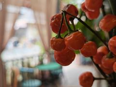 -The Flowers Coffee(南山店)