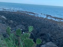 -硇洲岛旅游区