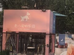 -爪吧宠物乐园·宠物泳池(温榆河示范区店)