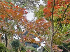 -戏马台景区