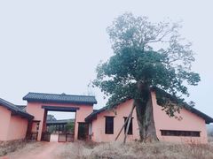-道林古镇