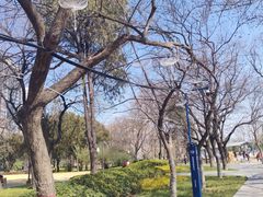 -渭滨公园