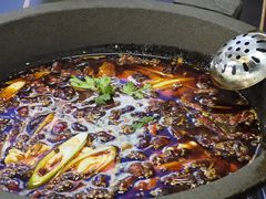 -秦巴石锅鱼(文化南路店)