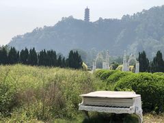 -南沙蒲洲花园