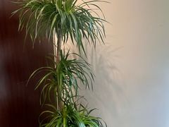 -千滋百味·醉江澜花园餐厅(街道口店)