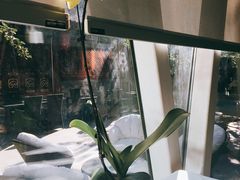 景观位-止观小馆·辽河口渔家菜(王府井店)