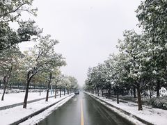 -团城山公园
