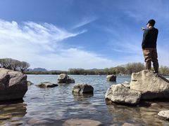 -石家庄市植物园