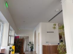 -WAVE SODA摄影工作室