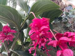 -北京植物园-展览温室