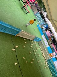 -萌宠亲子动物乐园(槐房万达店)