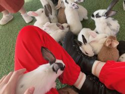 -萌宠亲子动物乐园(槐房万达店)