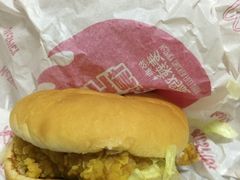 -麦当劳(盐城世纪大道得来速店)
