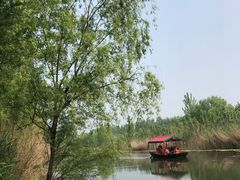 -微山湖红荷湿地景区