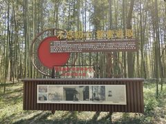 -黄海国家森林公园