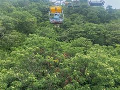 -富斯特索道