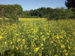 -长春公园(普阳街道)