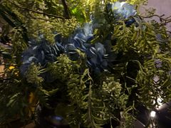 -唐宫足道·SPA·住宿24H会所(木渎店)