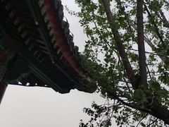 -八大处公园