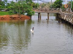 -鄱阳湖国家湿地公园