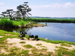 -黑龙江扎龙生态旅游区