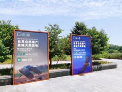 -盐城丹顶鹤湿地生态旅游区