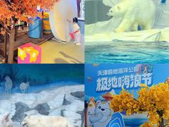 -海合安天津极地海洋公园