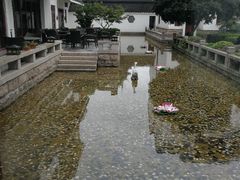 -苏州吴宫泛太平洋酒店