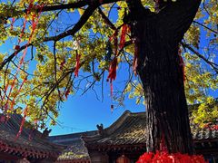 -五台山风景名胜区